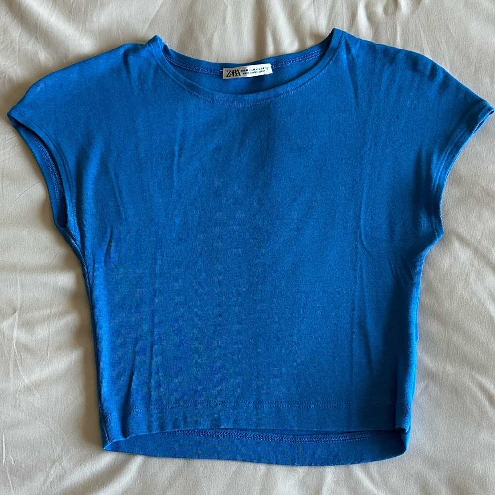 Zara Cropped Top